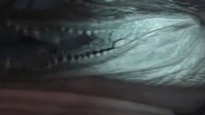 VIDEO Ce mai fura romanii? Bibelouri, scoici si... un crocodil impaiat!