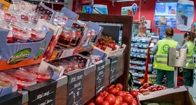 Galerie foto - poza 2