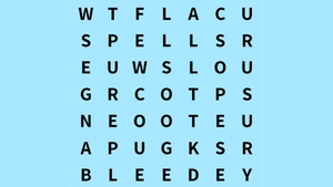 TEST IQ | În cel mult 6 secunde, identificați cuvântul "test"!
