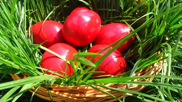 Joia aceasta, crestinii ortodocsi sarbatoresc INALTAREA DOMNULUI! Afla ce NU AI VOIE sa faci in aceasta zi