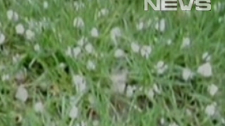 VIDEO Vreme rece in urmatoarele trei zile!