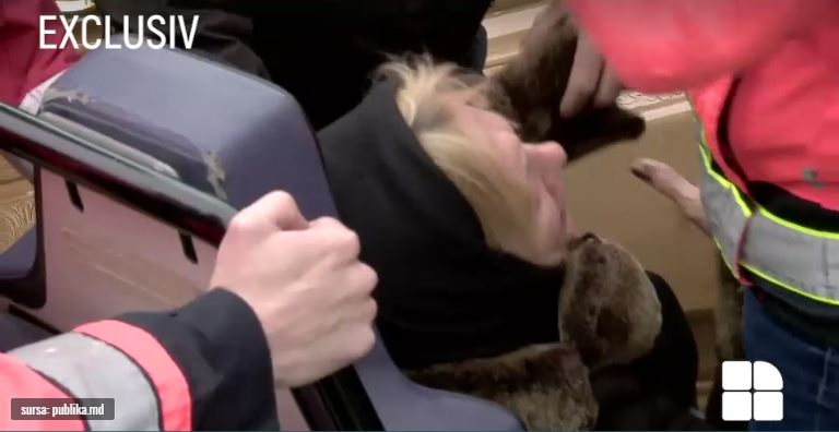 Scene zguduitoare la înmormântarea actriței ucise de soț: ”Doamne, ia-mă pe mine!”