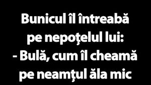 BANC | "Bulă, cum îl cheamă pe neamțul ăla mic care îmi tot ascunde lucrurile?"