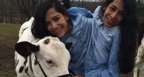 Galerie foto - poza 4