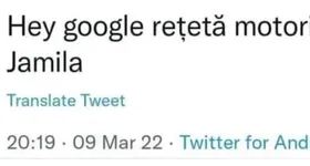 Galerie foto - poza 2