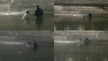 Doi oameni fără adăpost au fost salvați în ultima clipă din râul Dâmbovița, după ce au intrat în apă pentru a strânge PET-uri