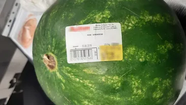 Ireal! Câți lei ar fi dat un bucureștean în supermarket pe un pepene de 5 kilograme. În realitate...