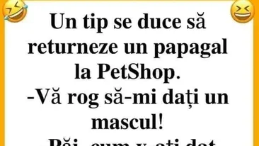 BANCUL ZILEI | Un tip se duce să returneze un papagal la PetShop
