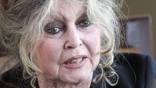 Brigitte Bardot denunţă demersurile pentru eutanasierea câinilor maidanezi din România