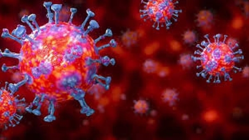 Coronavirus în America. După SUA, cel mai afectat stat din lume, Mexic pierde 350.000 de angajați în primele două săptămâni de carantină