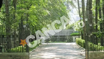 Imobil de patrimoniu din nordul Bucurestiului cuprins de flacari. Vila de avocat incendiata cu bricheta