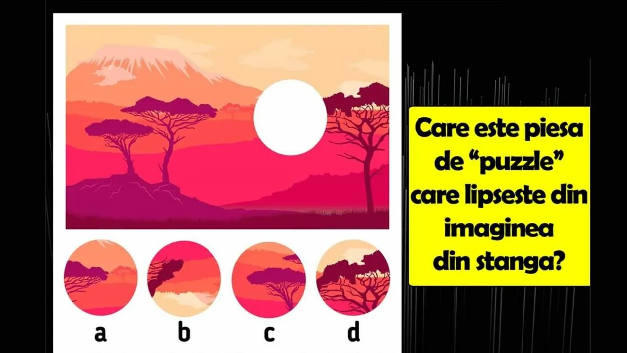Test de logică | Care este piesa de puzzle care lipsește din imaginea alăturată?