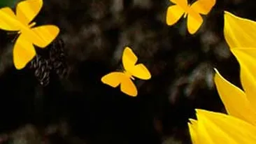 Anul 2012 a inceput(P 30)- Psihopatii exista, dar ne putem apara de ei