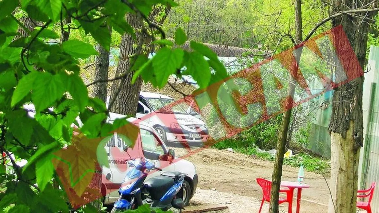 Au taiat zeci de copaci din parcul Herastrau