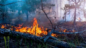 Avertizare de la MAE pentru turiștii care pleacă în Grecia! Risc mare de incendiu! Care sunt zonele