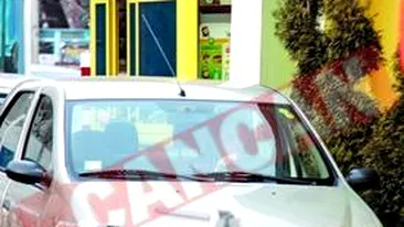 Ecaterina Andronescu prefera sa sofeze singura