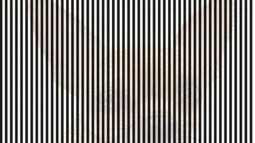 Iluzia optică devenită virală | Ce vezi în poza aceasta? 99 din 100 se dau bătuți