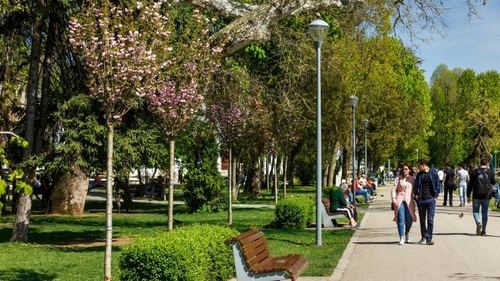 Minivacanța de Rusalii. Evenimente în București și în țară