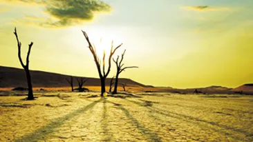 Interactiunea sufletelor (partea a IX-a): Frica, unealta favorita a guvernantilor