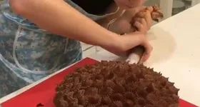 Galerie foto - poza 4