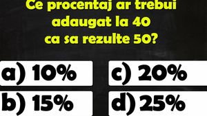 TEST IQ | Ce procentaj ar trebui adăugat la 40 ca să rezulte 50?