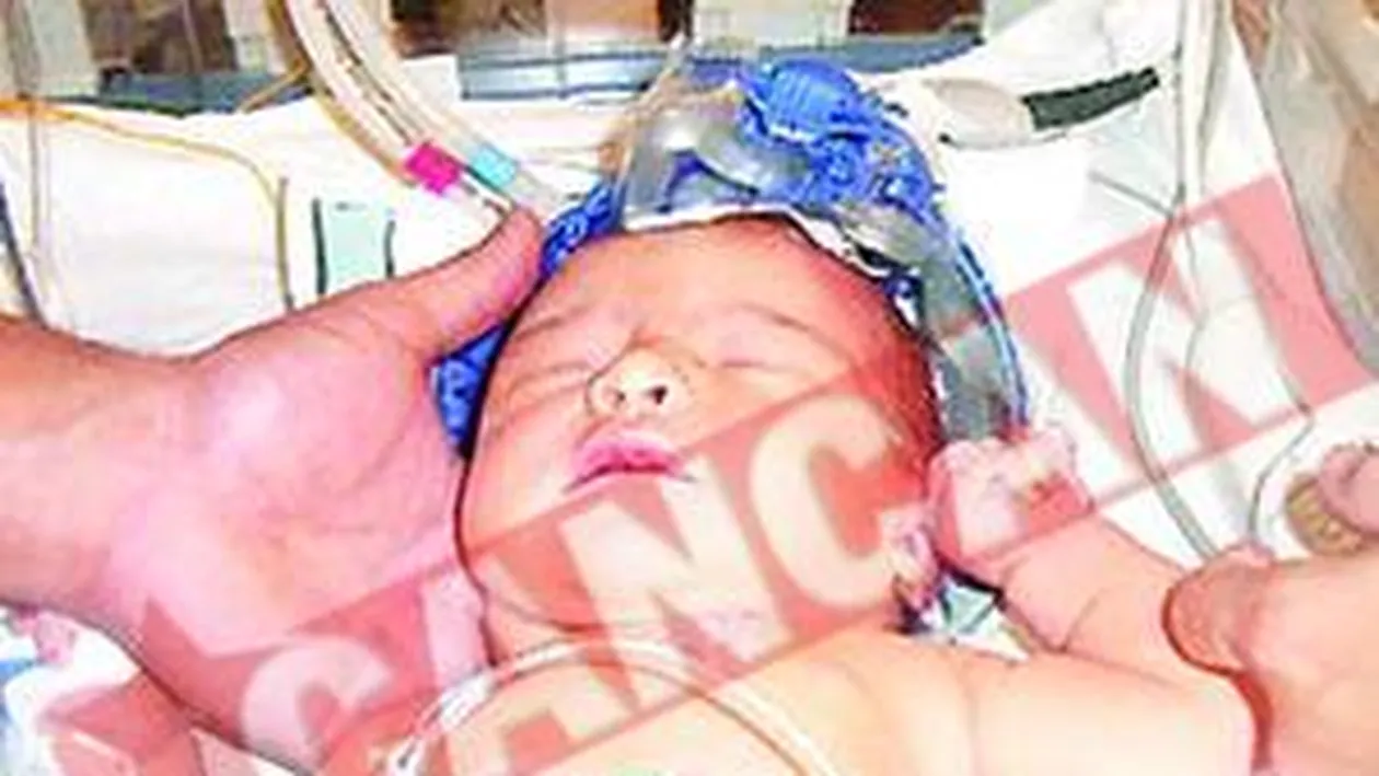 I-au bagat creierul in frigider