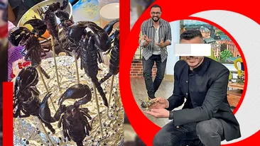 Fosta vedetă Pro TV care a mâncat crocodil și scorpion la micul dejun, în vacanța din Thailanda: “Curiozitatea a fost mai puternică decât frica”