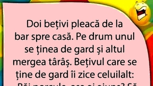 Bancul de weekend | Doi bețivi pleacă de la bar spre casă
