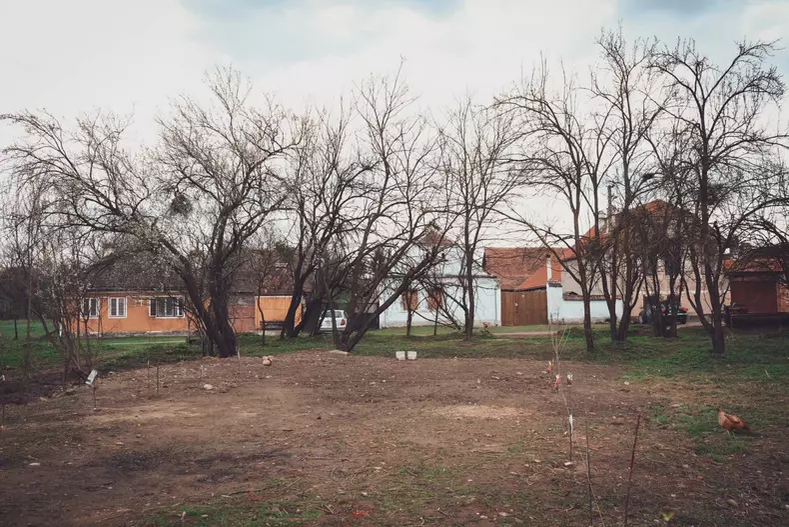 Cum arată casa de vacanță din Viscri a Danei Rogoz! Actrița a terminat renovările: „Este minunat!”