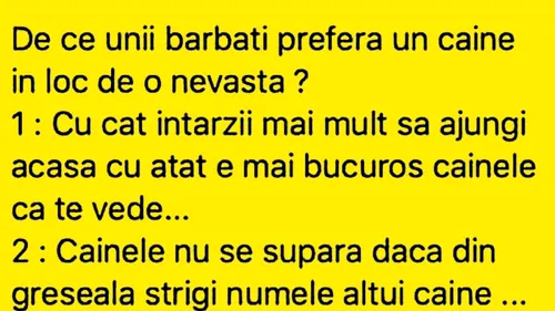 BANC | De ce unii bărbați preferă un câine în loc de nevastă