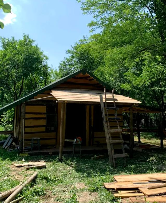 Cum arată casa de vacanță a dr. nutriționist Mihaela Bilic. Și-a construit propria oază de liniște pe Valea Prahovei