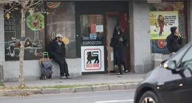 Galerie foto - poza 2