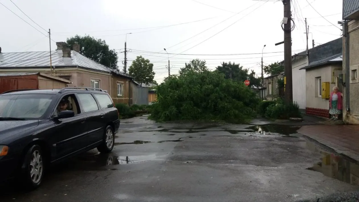 Alertă în Brăila! Copaci căzuți pe mașini și case din cauza vijeliei