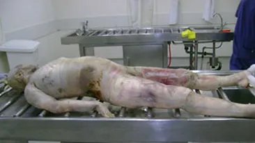 Avocata omorata de sotul ei si data hrana la pesti