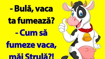 Bancul de sâmbătă dimineața |  Bulă, vaca ta fumează?