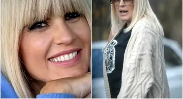 Elena Udrea va fi eliberată? Magistrații vor decide dacă fostul ministru va ieși din spatele gratiilor
