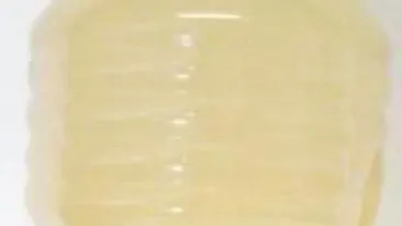 Borsul, cel mai bun medicament pentru oboseala, alcoolism, indigestie si TBC