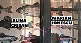 Galerie foto - poza 1