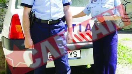Doi soti fac legea la Paltinis