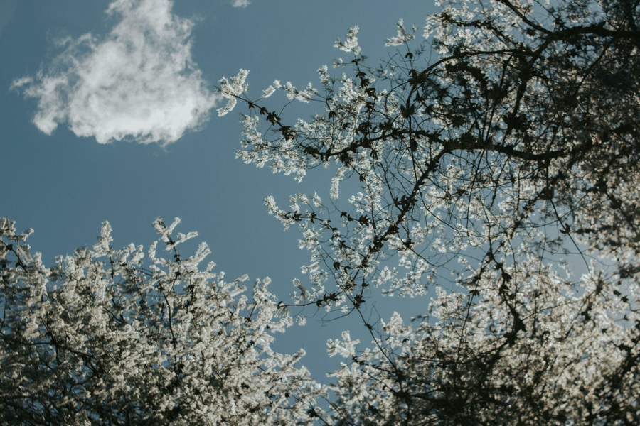 Sursa foto: Pexels