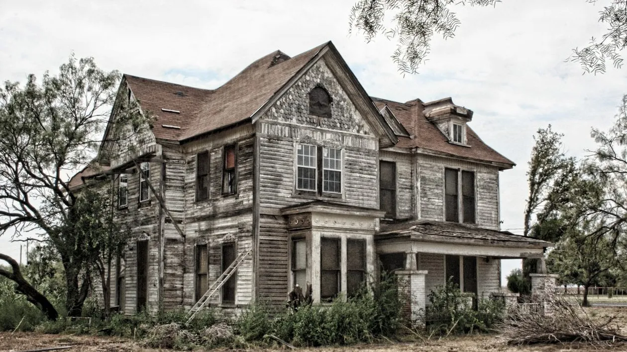 Șocant! Ce le-a fost dat să vadă sub covor! Venea un miros ciudat