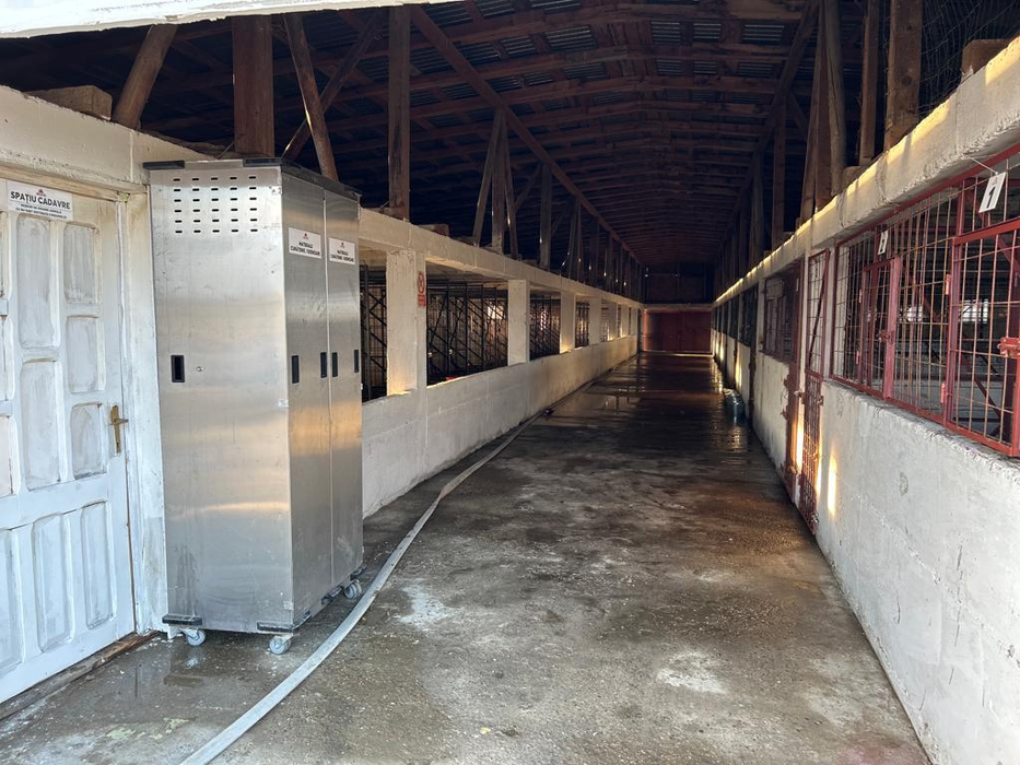 Ce au descoperit polițiștii la descinderea în adăpostul din Suraia, județul Vrancea. Iubitorii de animale fac acuzații grave la adresa medicului veterinar