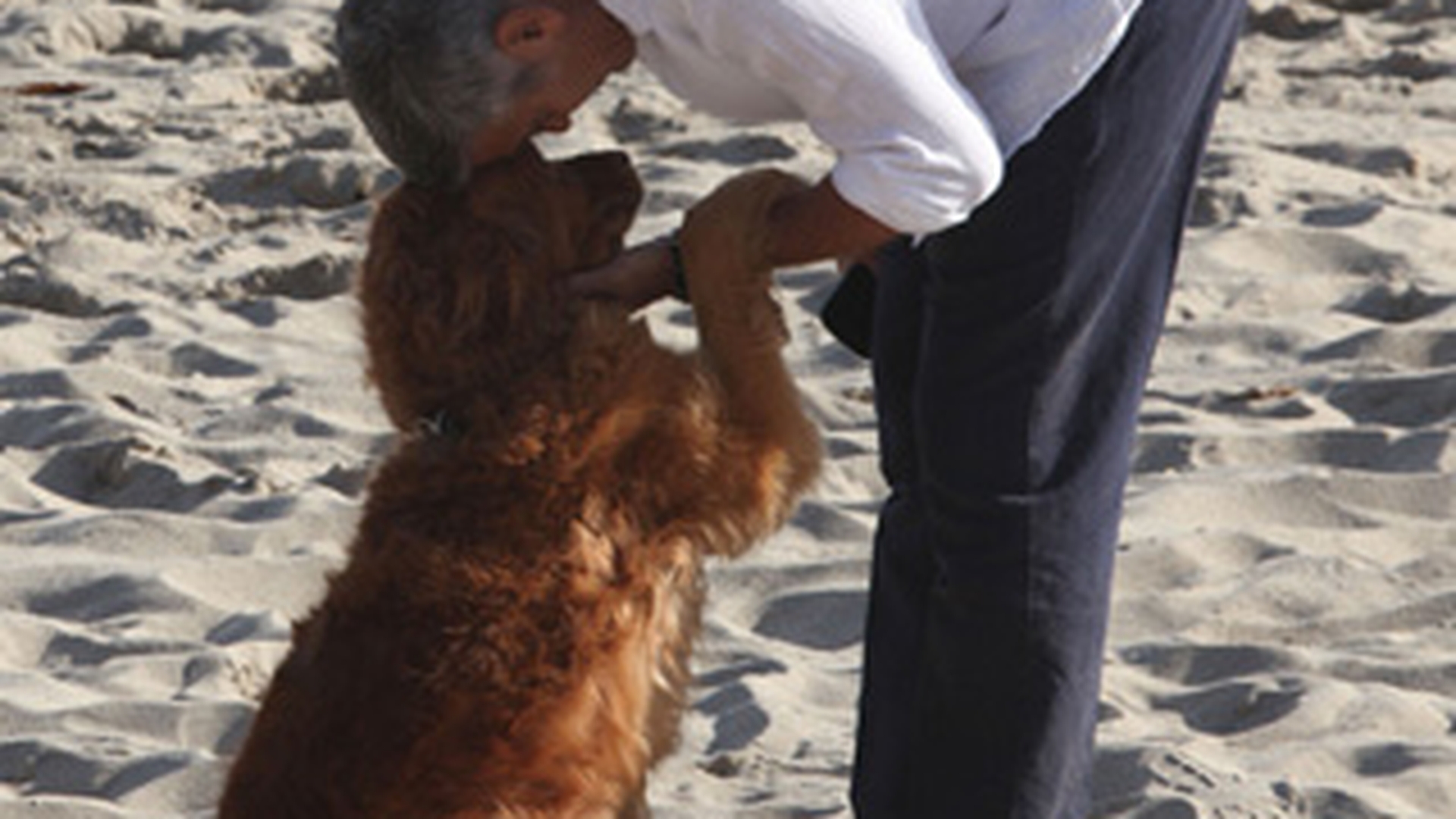 George Clooney are lipici la caini! Uite in ce ipostaze emotionante a fost fotografiat!!