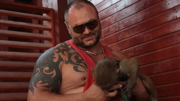 Il cheama Boxu, are peste 50 de cm in brat si este topit dupa Leo! El e proprietarul celei mai cautate maimute din Bucuresti!