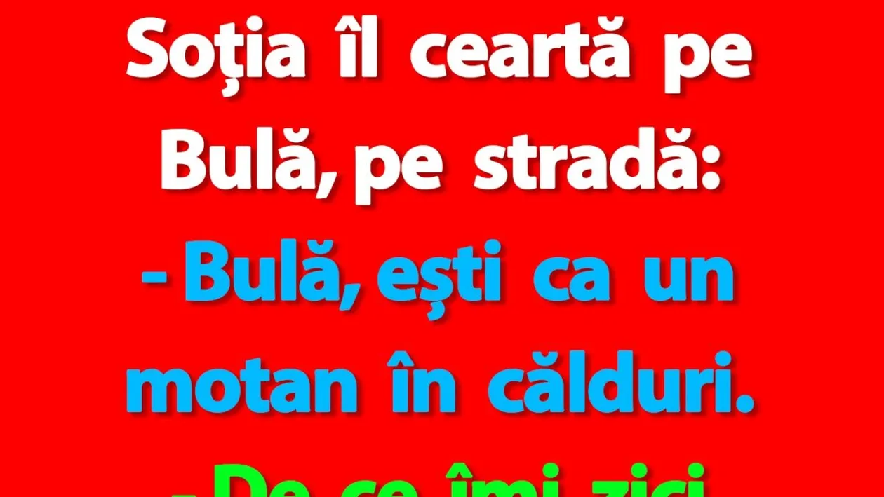 BANC | Bulă, ești ca un motan în călduri