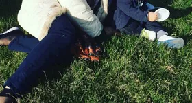 Galerie foto - poza 1