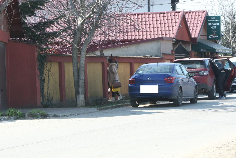 Oana Roman intră pe poarta vilei