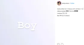 Galerie foto - poza 2