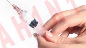O persoana din Bulgaria a murit dupa ce a fost infectata cu virusul gripei porcine!