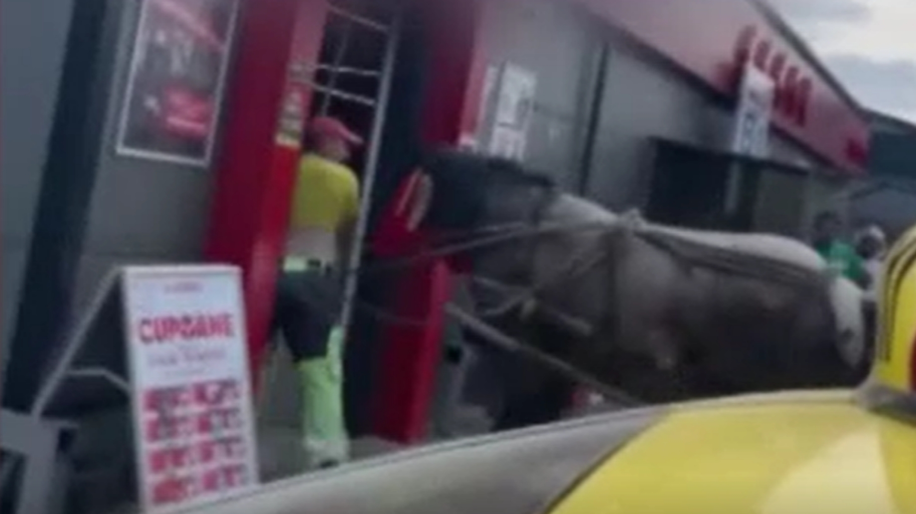 Incident neașteptat într-un supermarket din Suceava. Un cal a intrat cu tot cu căruță pe ușa magazinului